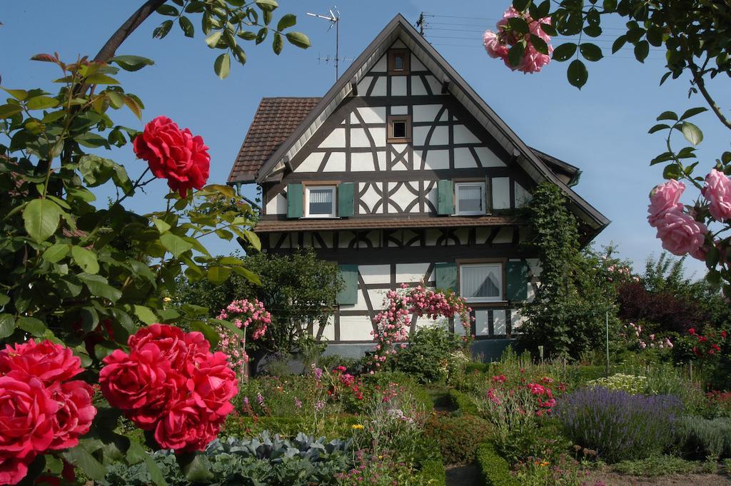 Pflugwirts Hotel Und Gasthaus Oberkirch  Exterior foto